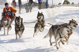 Lenk 2012 SM